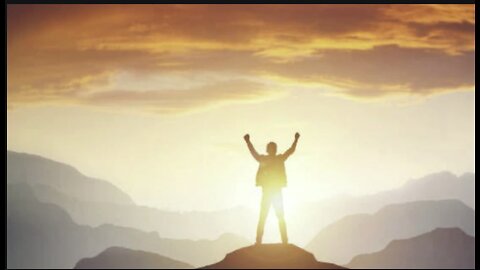 Whacky World of The Wokieverse