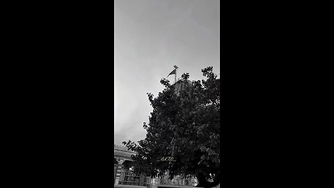 सवारियां