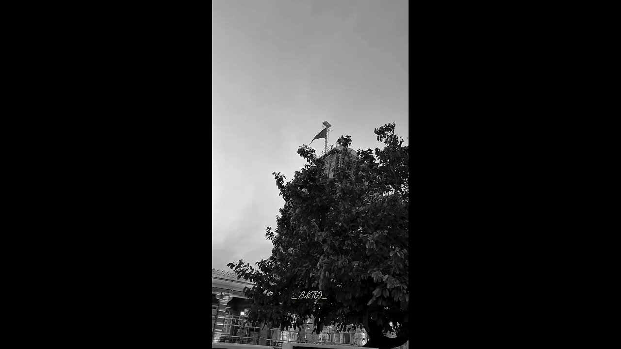 सवारियां