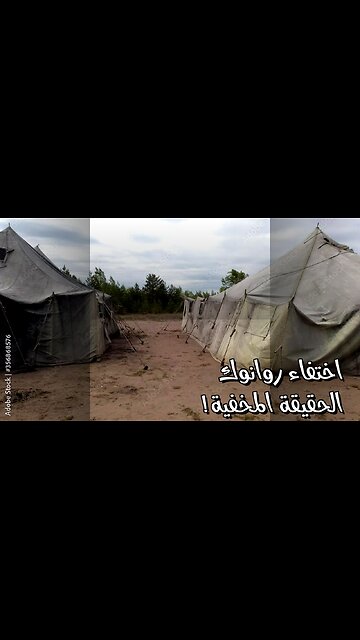 ️اختفاء جماعي: هل روانوك هي الحل؟