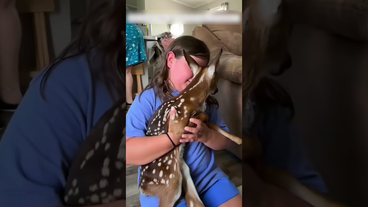 The man saved the deer from water and heavy rain and gave him a new house