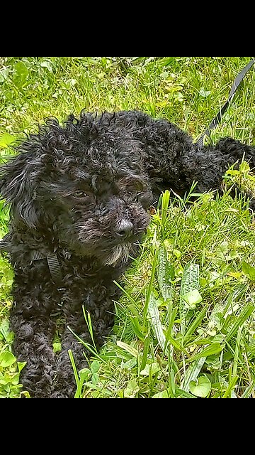 Happy Birthday Pete!