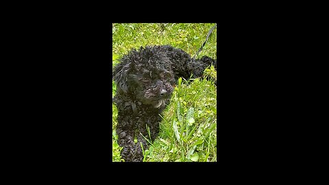 Happy Birthday Pete!