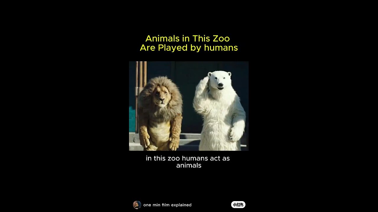 Humans and Animals