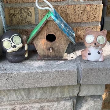A cute bird house