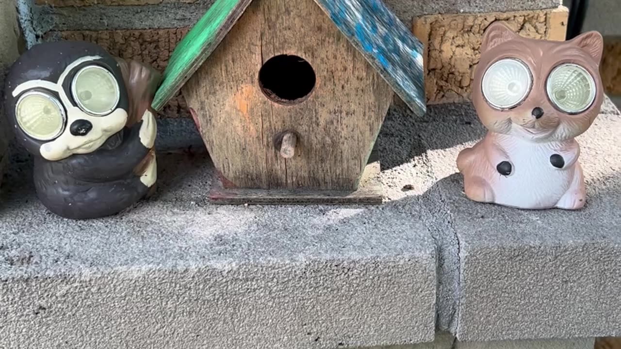A cute bird house