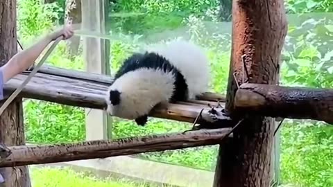 🤣🎉 I Totally Understand Their Enjoyment – This Will Make Your Day! | FunFM