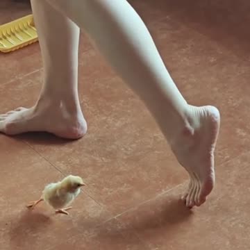 Learning to stretch those legs 😊