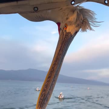 Agents of the new surveillance state 😂