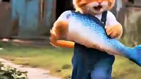😵👀#cat #shorts #shortvideo