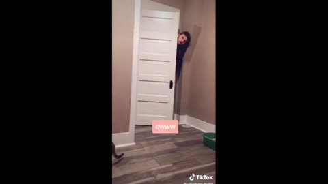 Daddy Goat 24/7 - Out Of Context Memes & Videos