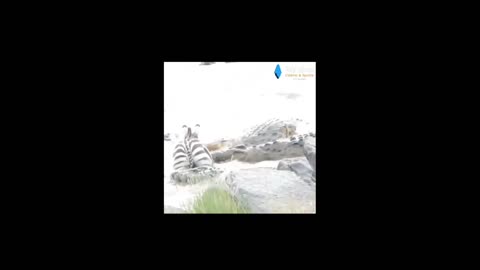 Daddy Goat 24/7 - Out Of Context Memes & Videos