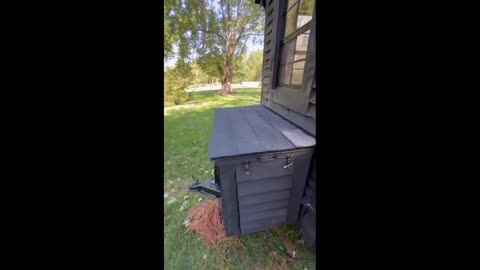 Daddy Goat 24/7 - Out Of Context Memes & Videos