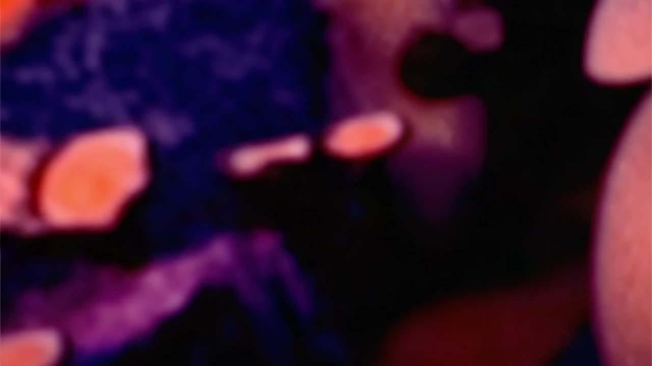 WAV - Toy Factory Type