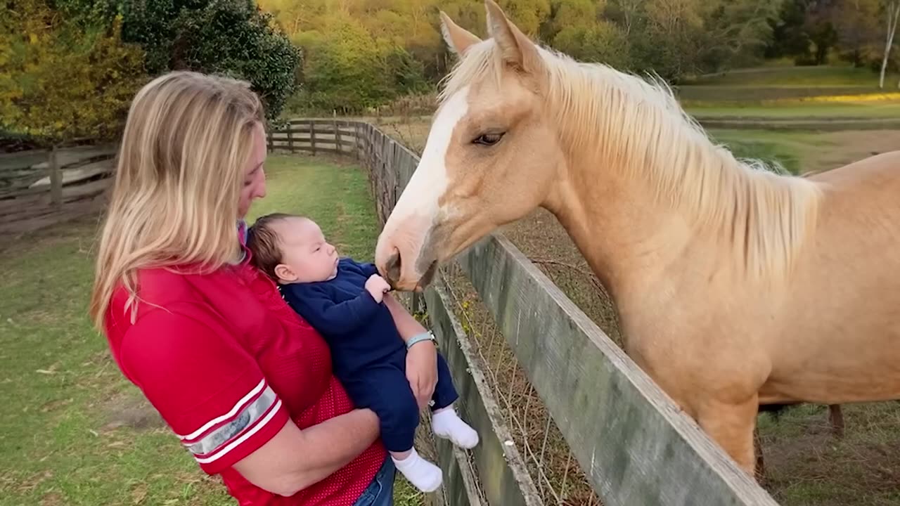 Funniest Animals Compilation 2025 😂🐶 Part 90