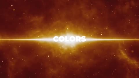 KoI Facts Guide: Hidden Truths You Must Know