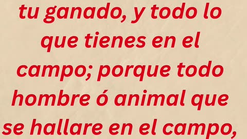 "La advertencia del granizo" exodo 9:18,19 #shorts #youtube #ytshorts #jesus #views #youtubeshorts