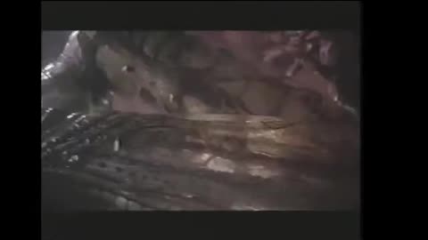 Species Teaser 1995