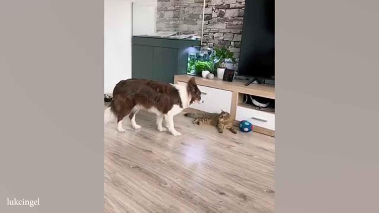 TRY NOT TO LAUGH 😆 Best Funny Videos Compilation 😂😁😆 Memes.