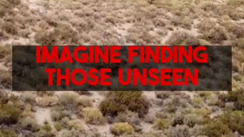 Montanas Unseen Hiking Paths Discover Big Sky Country