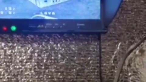 📡🔥 Ukraine Russia War | Russians Intercept Ukrainian Drone Signal After Tatneft Gas Station A… | RCF