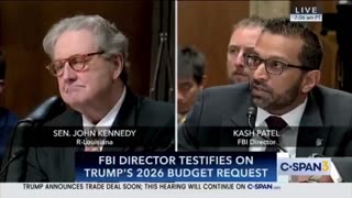 SEN. KENNEDY: "Did Jeffrey Epstein hang himself or did somebody kill him?"