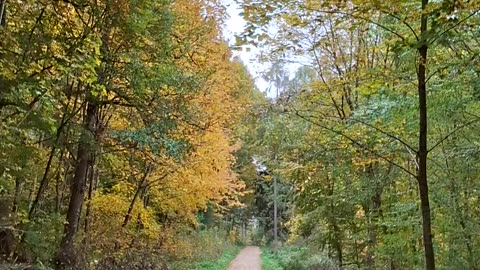 Economic development, economic sufficiency, collective well-being, and human development