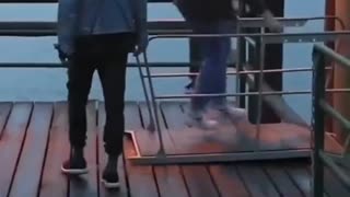 😂🌊 You Won't Believe This Epic Water Entry Fail! | FunFM