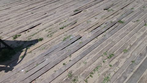Brighton Beach - New York - July 2025 - Coney Island Beach - Boardwalk - Ocean View