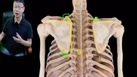 Essential Tips for a Relaxed and Fulfilling Life