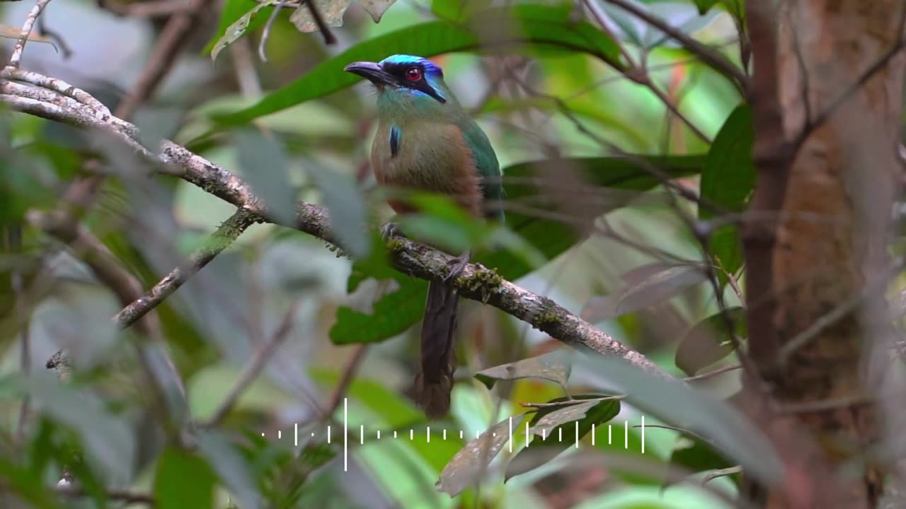 Guitar and Piano Music for the Soul | Deep Relaxation, Restorative Sleep, and Emotional Healing