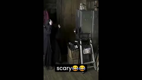 funny animals