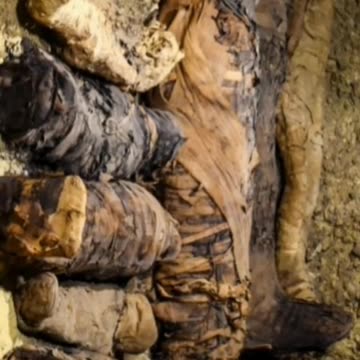 Ancient Egyptian necropolis of Tuna El Gebel Baboon