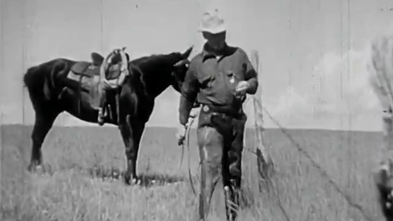 Home on the Range