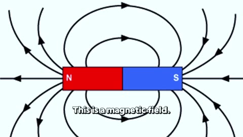 Heart Harmonics Explained: The Science of Your Heart’s Magnetic Torus Field