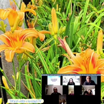 Oltea Hozan -BLÂND VIAȚA ÎNTREAGA FII!- Autor Augustin Tecar #poetry #poezie #editor Valentin Trif