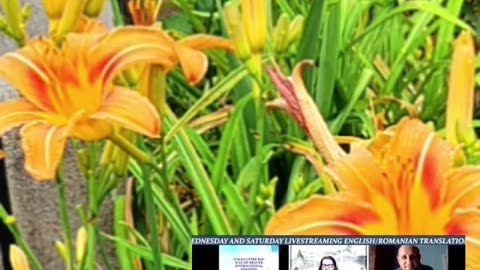 Oltea Hozan -BLÂND VIAȚA ÎNTREAGA FII!- Autor Augustin Tecar #poetry #poezie #editor Valentin Trif