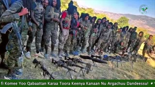 Gabaasa Tarkaanfii ONM-ABO Onkoloolessa 30-2025 itti dhiyaadhaa!