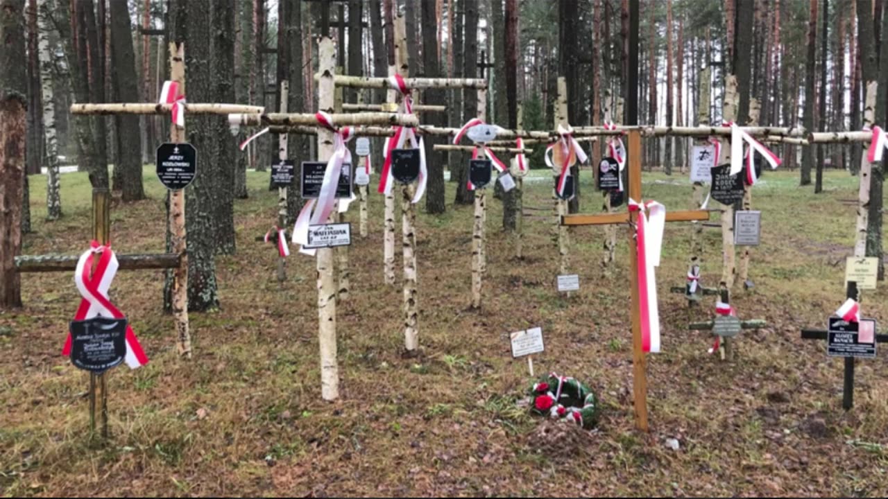 Horrific War Crimes #002