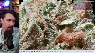 Smoke Sesh🔥World Wide !WEED Review💨Zong !Rumble Later? 420🍃!mj !giveaway