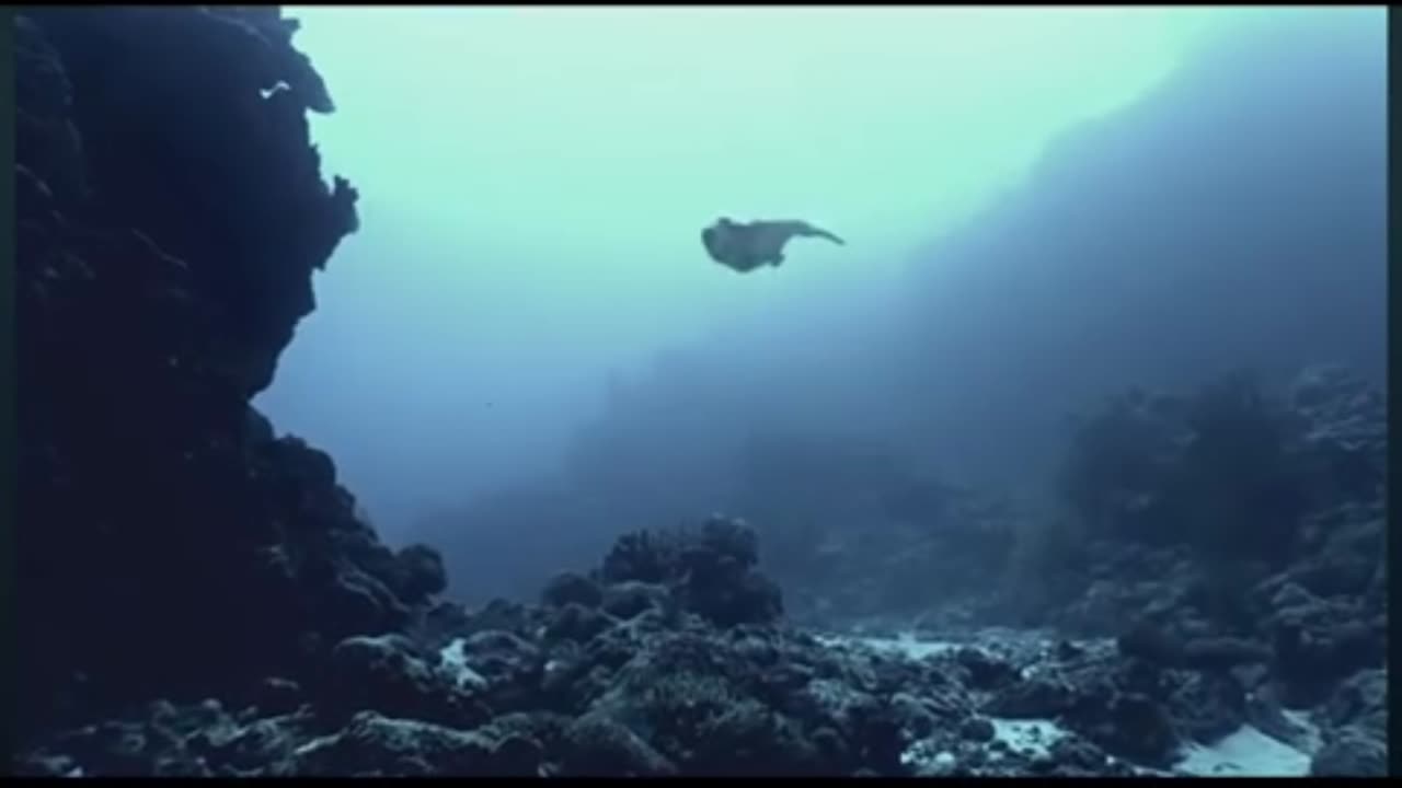 Mermaids Part 3