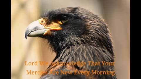 Prayer to Begin May with Hope, Healing & Renewal | Isaiah 43:19 & More