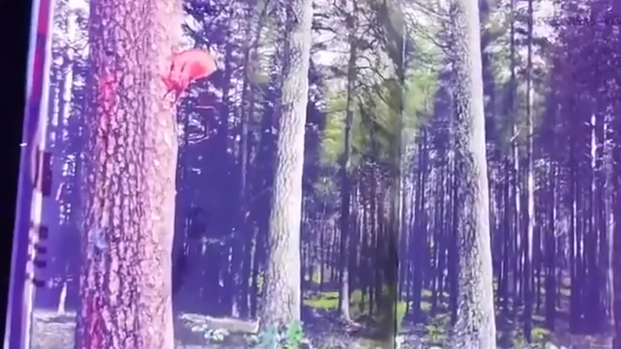 Latvian passport under UV lights