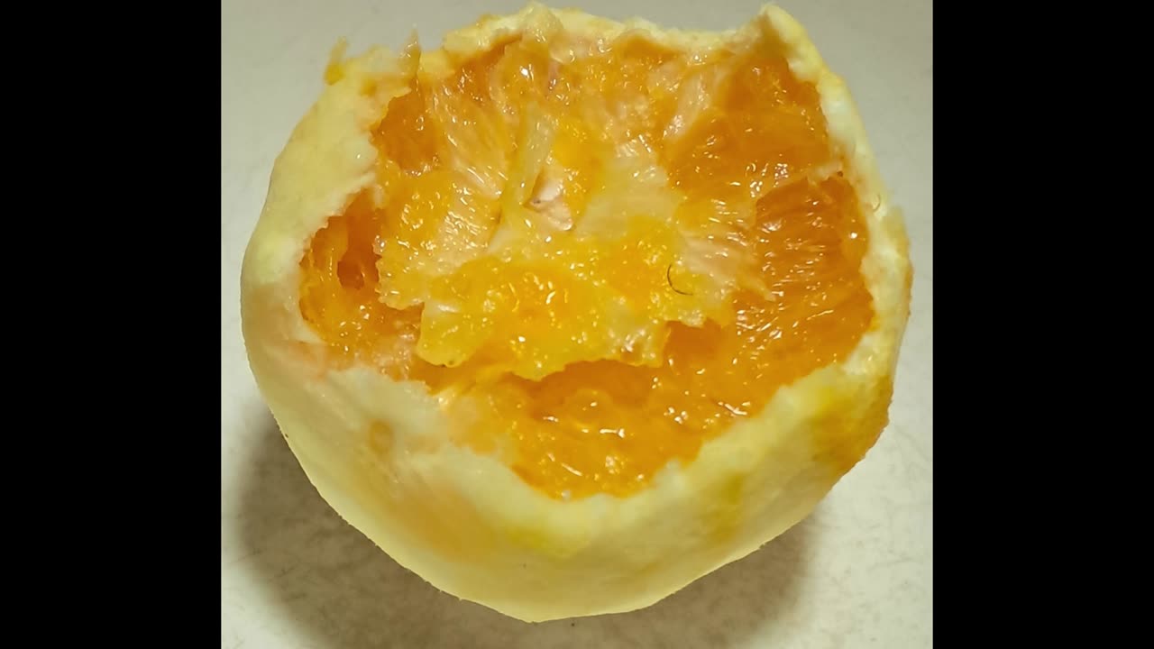 The 30-Chew PEELED Orange Reset