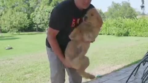 Must Watch: Try These 3 Tests to See if YOUR Puppy Is a Winner