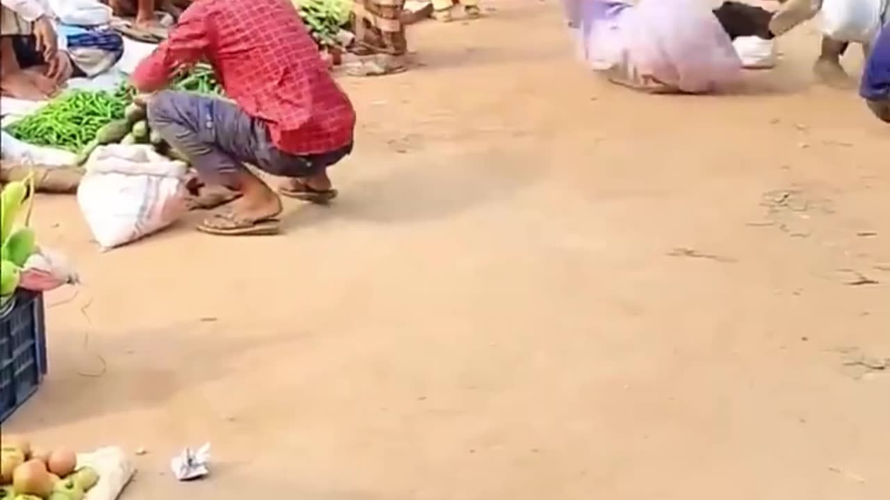 Best Funny