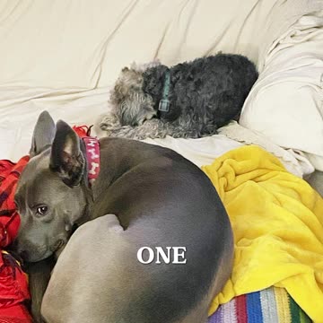 Silence is more powerful