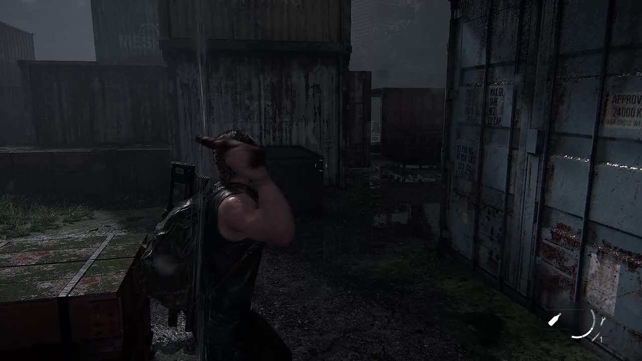 The Last Of Us Part 2 - 27