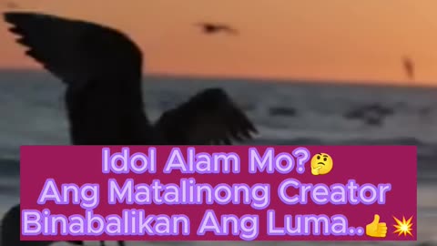 Ang Matalinong Creator