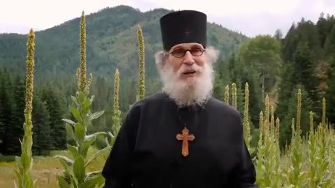 Holocaust Reeducation